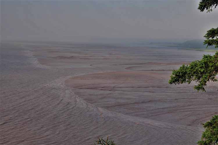 low tide